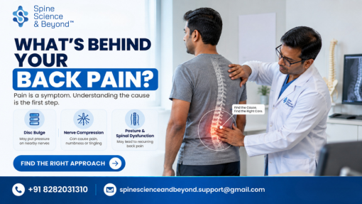What to Expect From a Back Pain Assessment